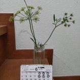 �غ̥졼�����������麣�դϡ٤β���