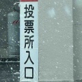 愛犬と雪散歩して、トリミング。*\(^o^)/*