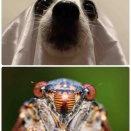 アボと蝉／本日のお客様🐮🪮菜々緒＆憩