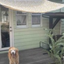 マリメッコの生地❣️