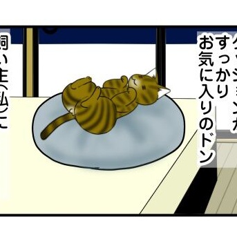 愛猫をダメにする飼い主(私)