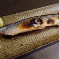 10月10日〜11日釣果情報！！