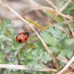 三田市周辺の身近な自然