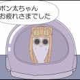 ポン太、腎不全になりました⑳