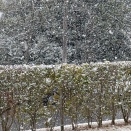 今日の一枚(2月8日)