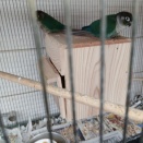 昨日からバタバタ忙しい！