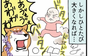 子供が生まれて愛犬の知らなかった一面を知った話