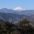 高尾山から景信山、木下沢梅林へ