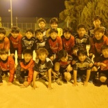 『植木は寒い』の画像