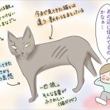 『田舎の戦士ネコのその後①』の画像