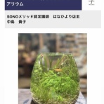 SONOアクアプランツファーム水草･海藻情報局