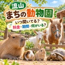 流山まちの動物園はいつ開いてる？料金・期間・何がいるか調査