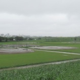 『雨が降り続き、内野には水たまりができています』の画像