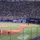 『やっぱ、野球は「外」だわ！』の画像