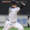 日ハムに大引啓次さんがいたという事実