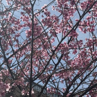 ロマンチック・クッキング&サイエンス