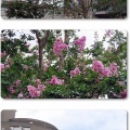 お墓参りと航空記念公園