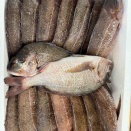 男ディカレッジ〜魚をさばく・男の料理〜