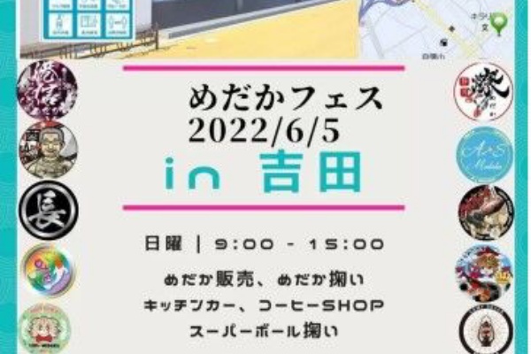 夜桜メダカ ♂♀1ペア（MからLサイズ） | 【高級メダカ専門店