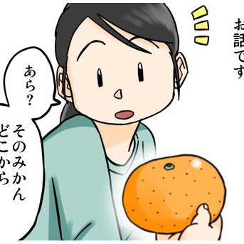 我が家の未解決事件簿