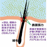 『OIだより（4800回記念）（50回記念）一隅の灯（24）』の画像