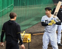【阪神】サトテルの成績がやばすぎる・・・