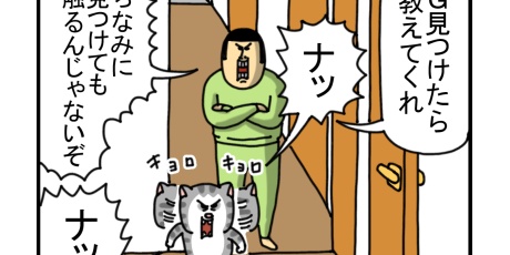 まめきちまめこニートの日常 Powered by ライブドアブログ