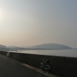 『夏朝散歩』の画像