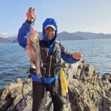 『磯釣り』の画像