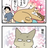 正月に浮気を疑われる猫飼い