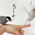 強引に聴かされる歌