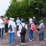 『さわやかウォーキング』の画像