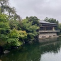 9月16日のお稽古ー唐物、続き薄茶