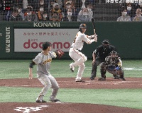 【朗報】阪神タイガースのセカンド見つかる