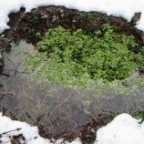 『現場は苦労しています』の画像