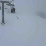 noskiing nolife / スキーがなければ人生はない