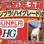 【画像】ガンプラ福袋、エヴァっぽい何かの詰め合わせになってしまう