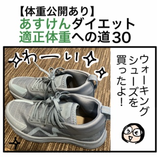 30kgやせて適正体重になるまで絵日記