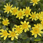 ジュピターのブログ～令和徒然紀行～　