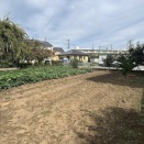 2025/10/13 自家農園でさつまいも＆落花生収穫