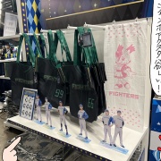 エスコン開幕6連戦　1日目②ノーノー！