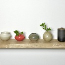 【ご案内】ウィンター フェス in 植物園　マルシェ