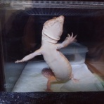 今日もテキトーに