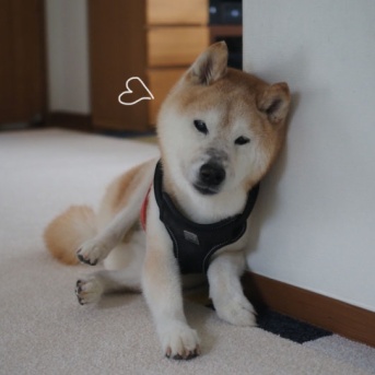 壁にもたれてひと休み♪