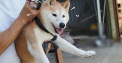 例のポーズ？？？
