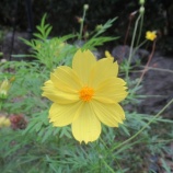 『better than last year』の画像