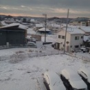 3連休最終日、雪でもテニス