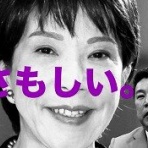 おーい、とらちゃん出番だよ！