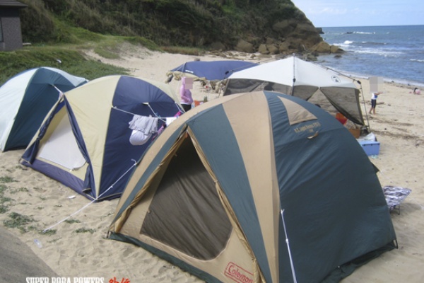 デイゲーム初挑戦 アオリイカ デイエギング Super Bora Powers