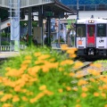 JR東日本キハ110系長野車両センター@キハ110-225（黄色い花）